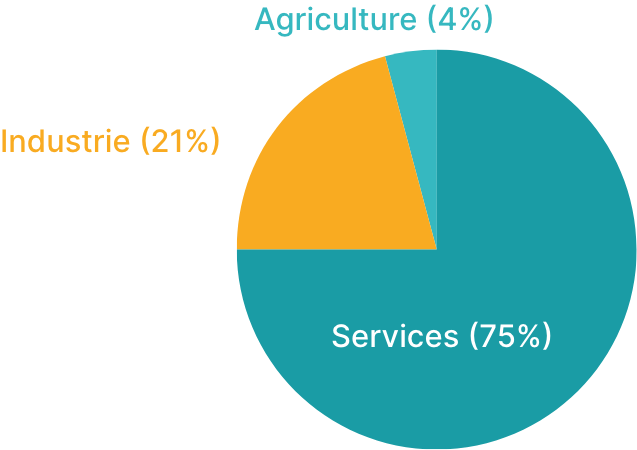 Pie Chart